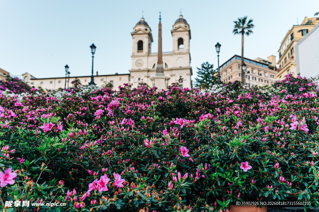 繁花簇拥下的古老建筑