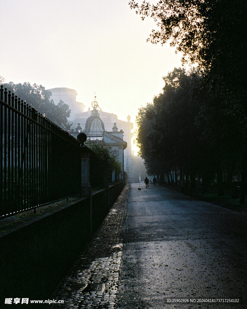清晨静谧街道的柔和光影