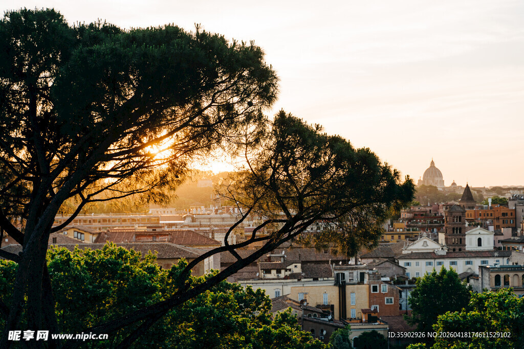 罗马城市景观与树木