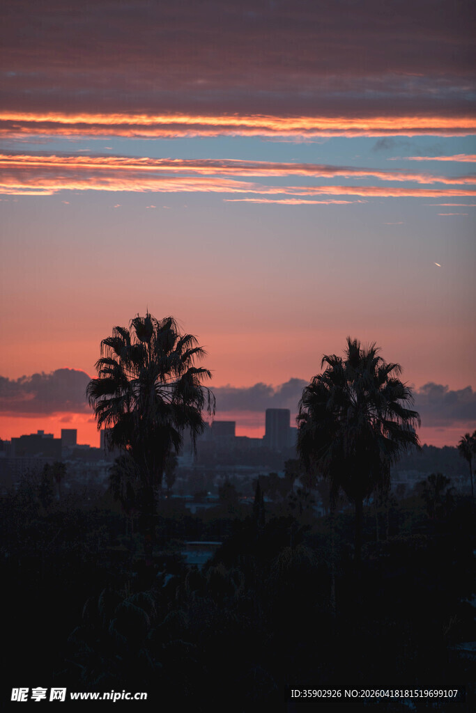 日落时分的城市与棕榈树