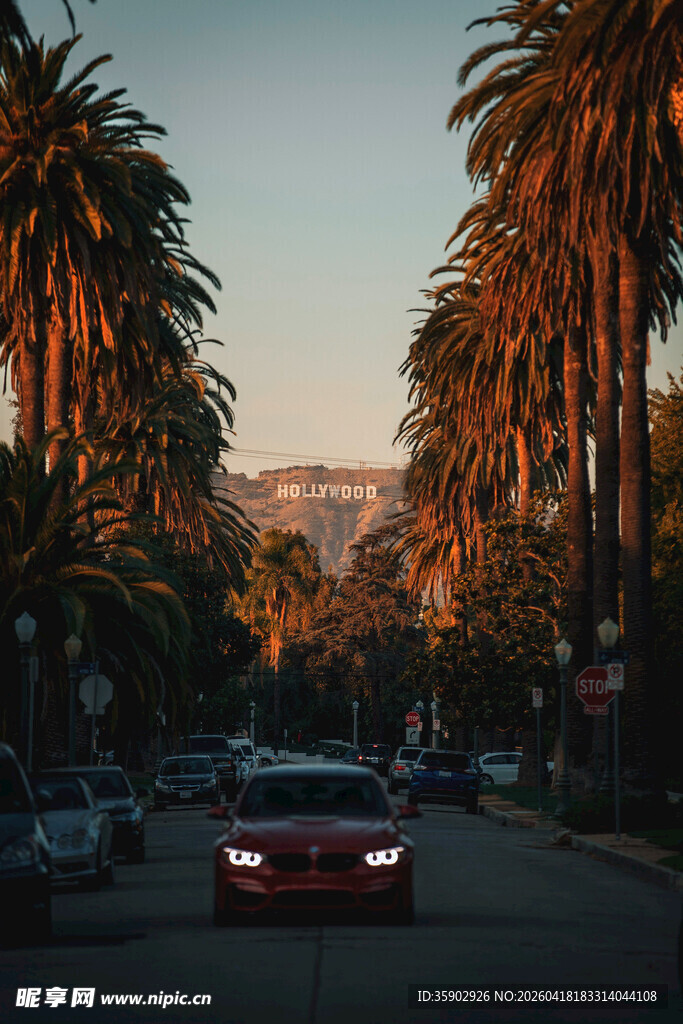 夕阳下的棕榈大道与汽车