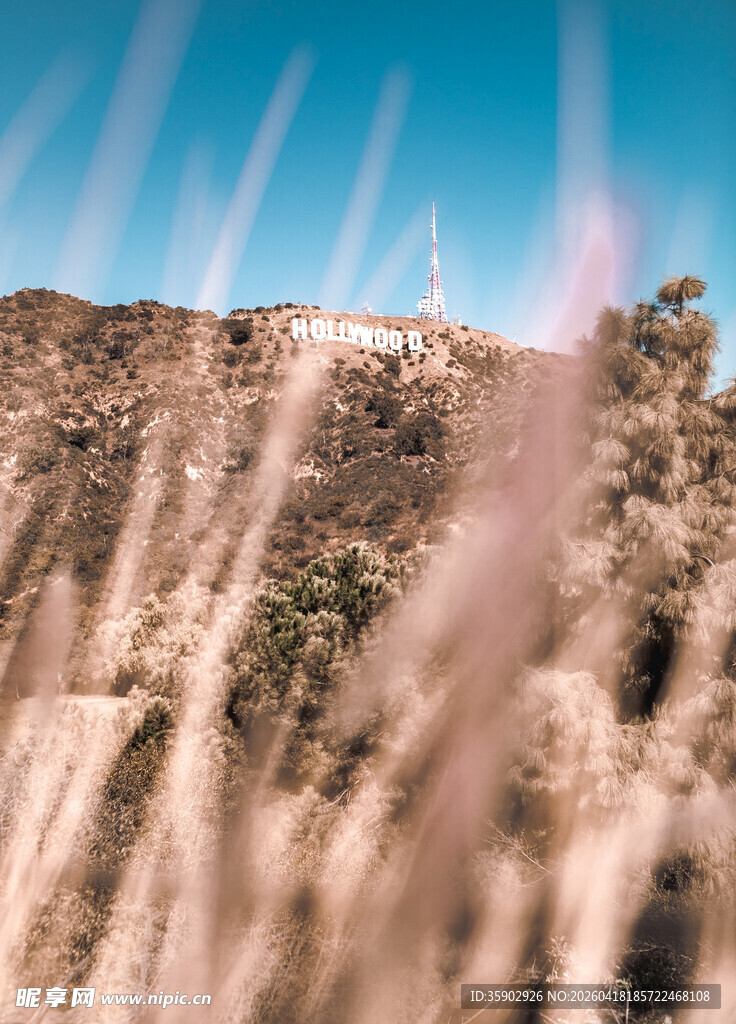 风中摇曳的芦苇与远处屋舍