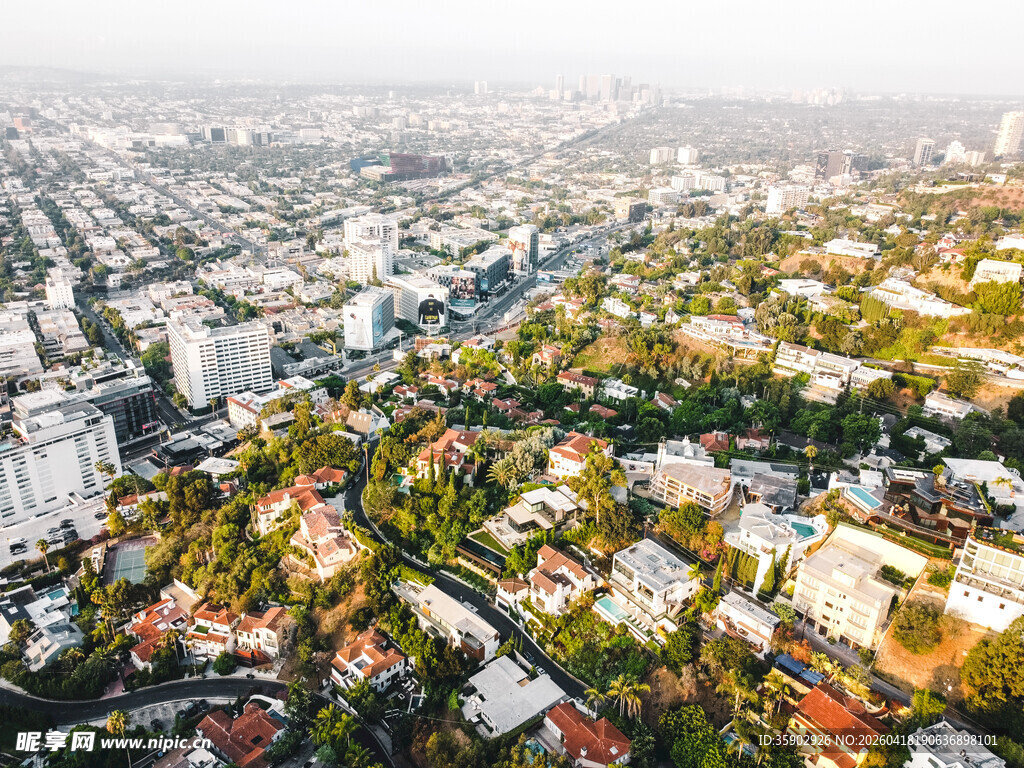 城市绿荫中的建筑景观