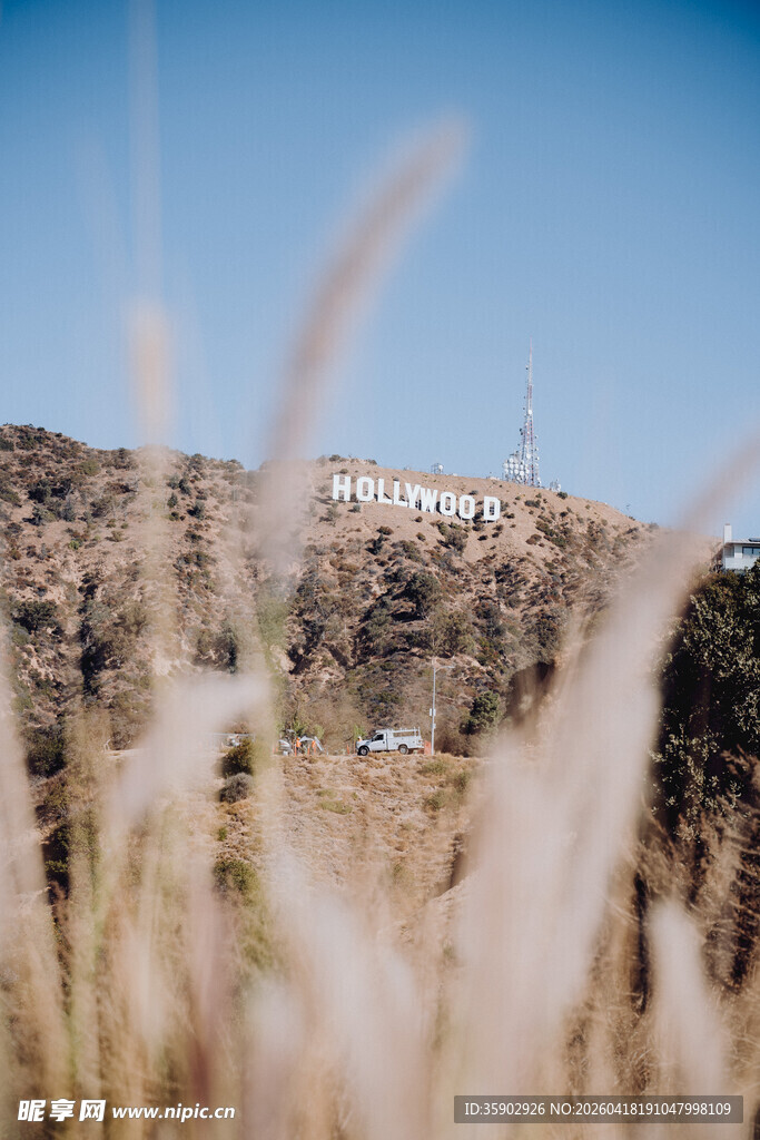 原野中的朦胧远景