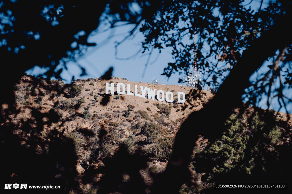 好莱坞标志隐于枝叶间