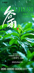 清新绿叶自然生机展现
