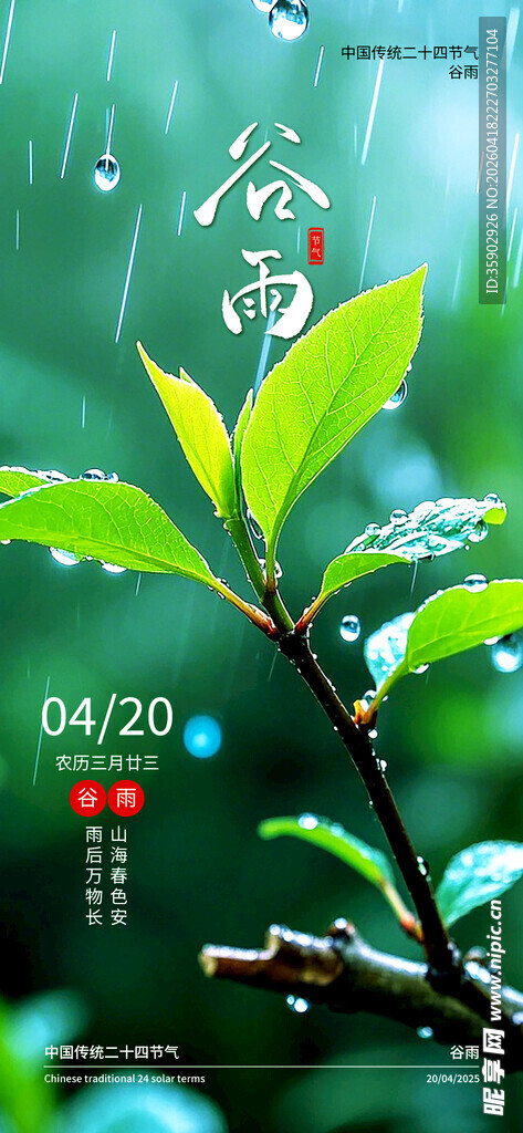 谷雨时节嫩绿枝叶景象