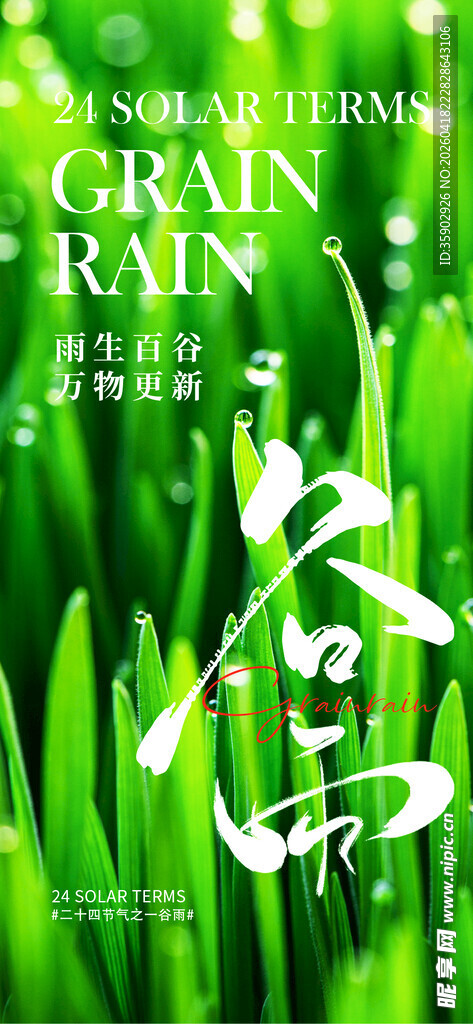 清新谷雨时节绿意盎然
