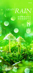 清新雨后蘑菇绿意盎然