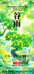 谷雨时节绿意盎然景象