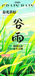 清新谷雨时节田园美景