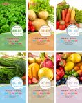 蔬菜展板 水果