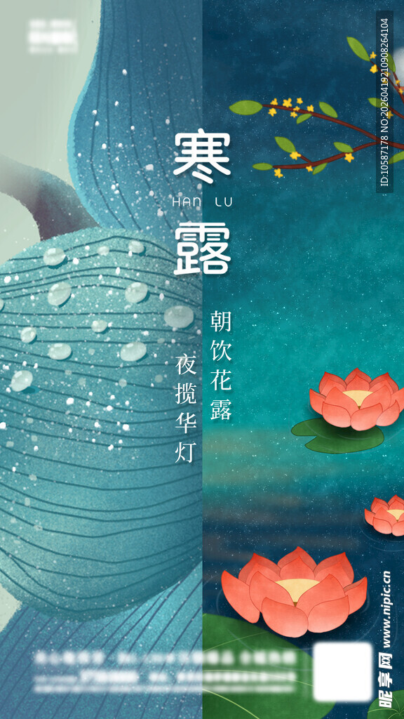 寒露时节荷花绽放景象