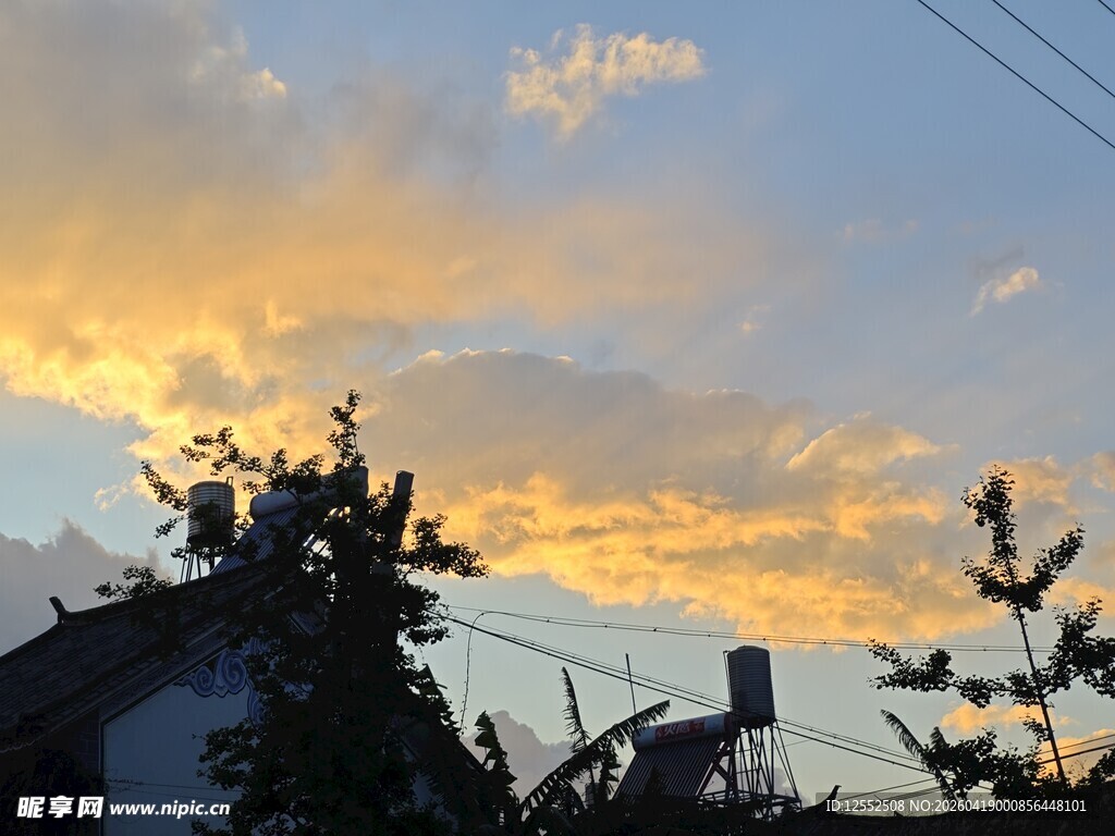 夕阳下的树梢与天际
