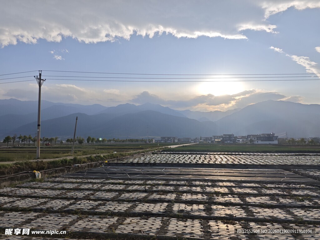 田园晨光下的整齐农田