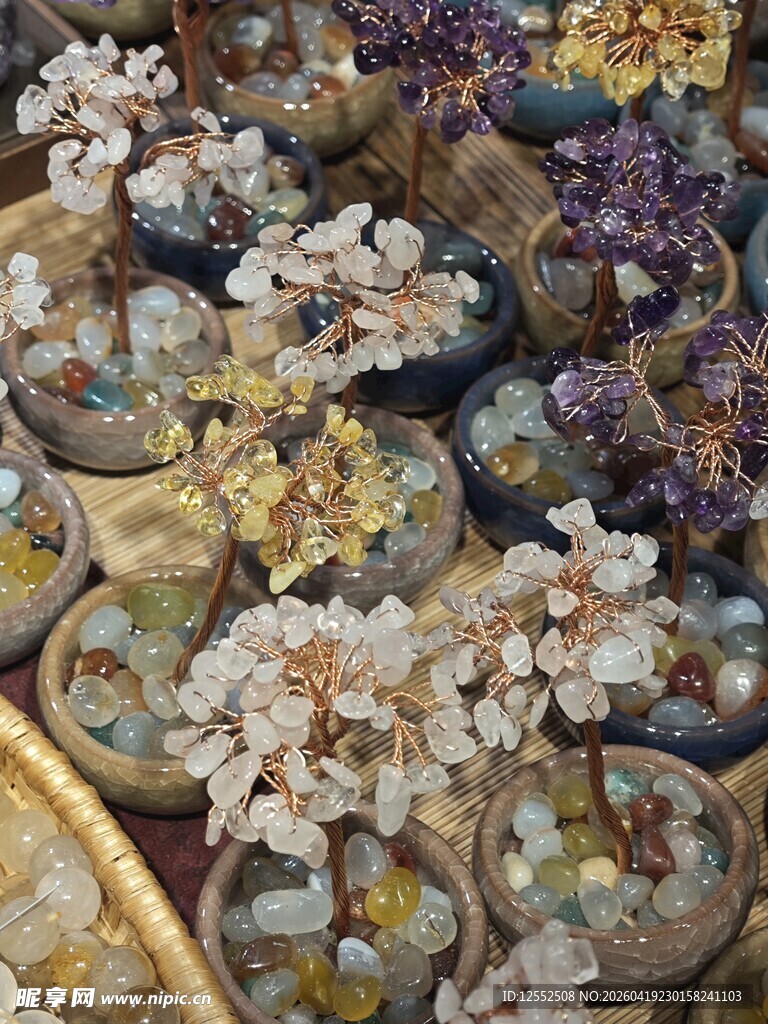 多彩多肉盆栽展示