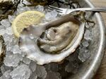 冰鲜生蚝配柠檬片