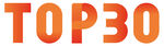排名标识 top30