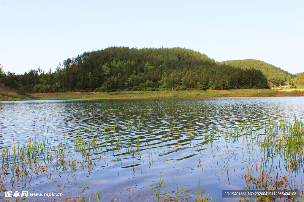 宁静湖畔的自然美景