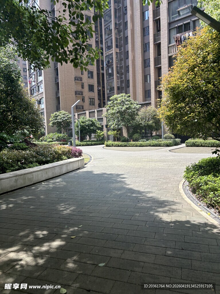 小区内的林荫步道景观
