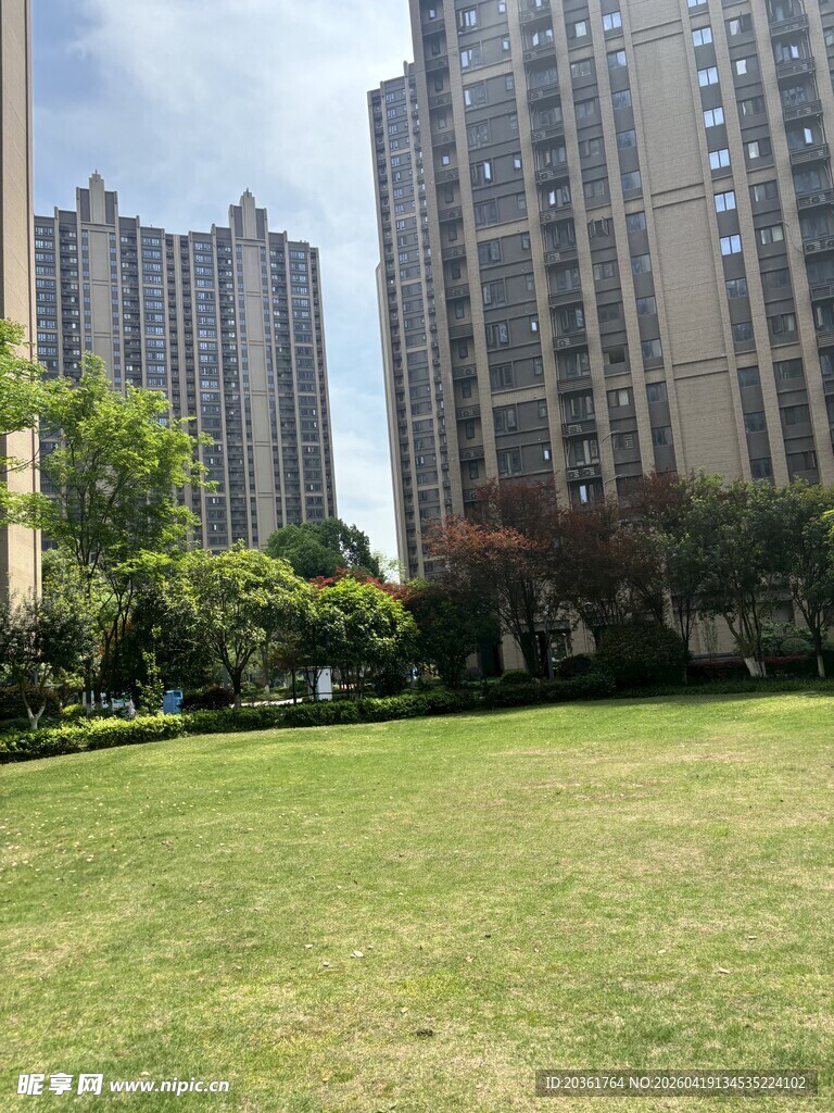 城市草坪旁的高楼景观