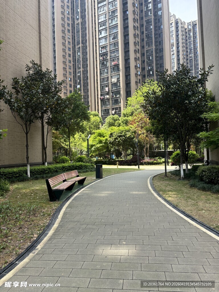 小区内幽静的林荫小道