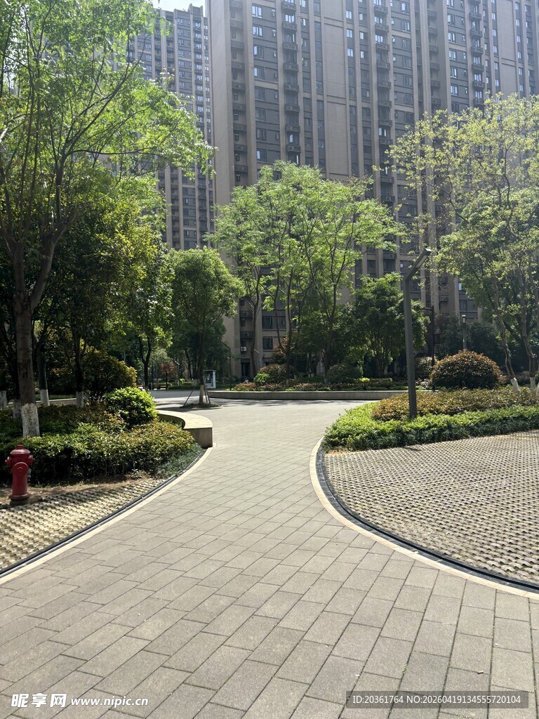 城市中的静谧林荫步道