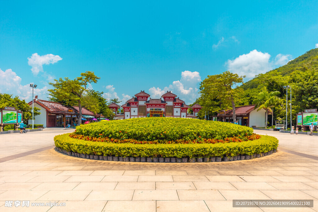 城市中的圆形绿植景观