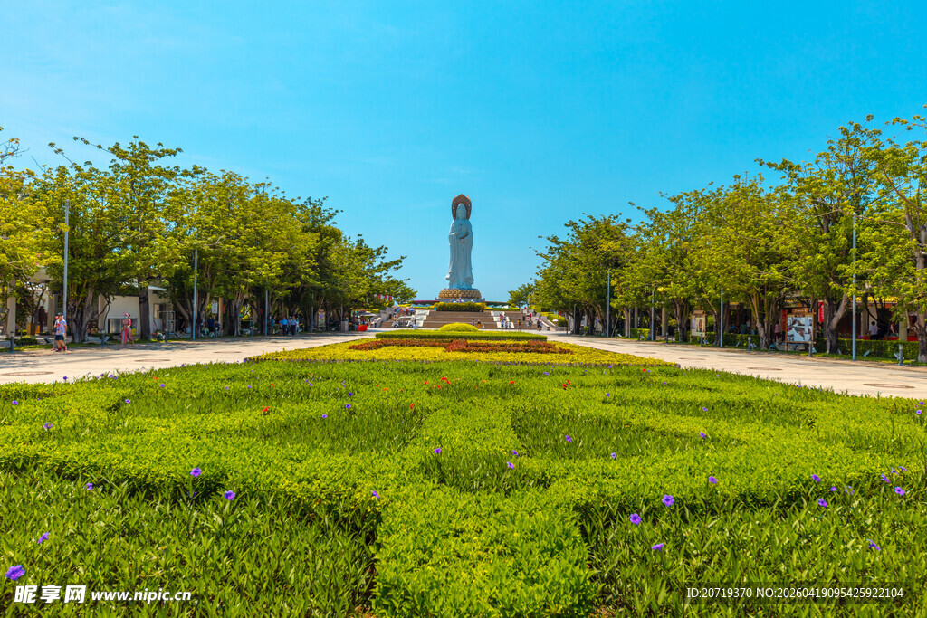 城市中的规整绿植景观