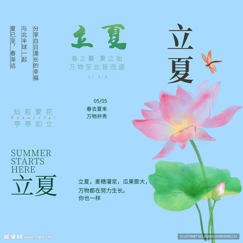 立夏素材
