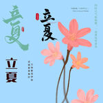 立夏素材