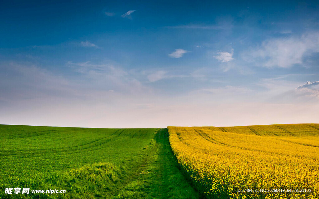 黄绿田野间的美丽风光