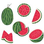 西瓜图案素材