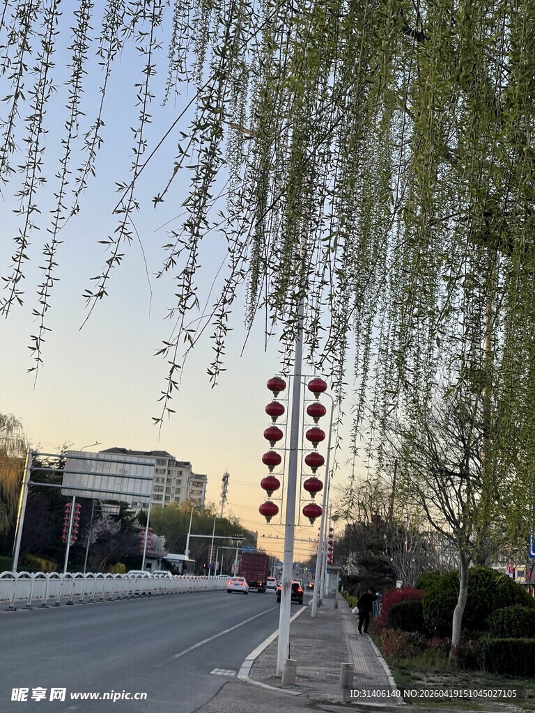 春日垂柳下的街道景象