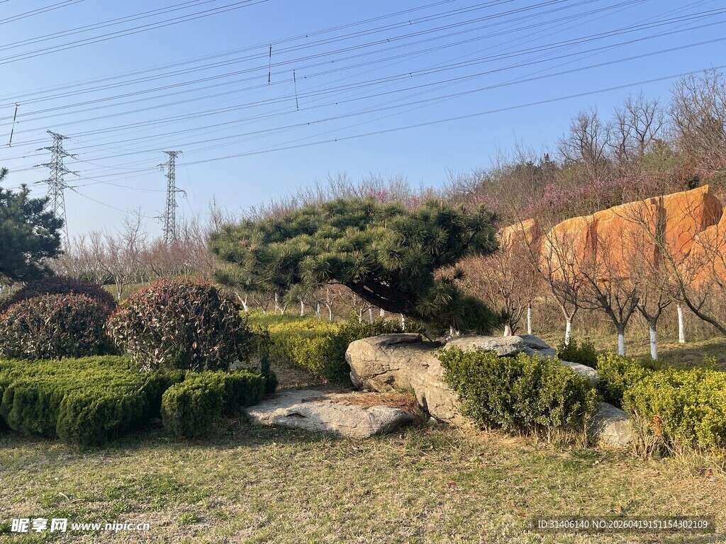 园林小径绿植环绕景致美