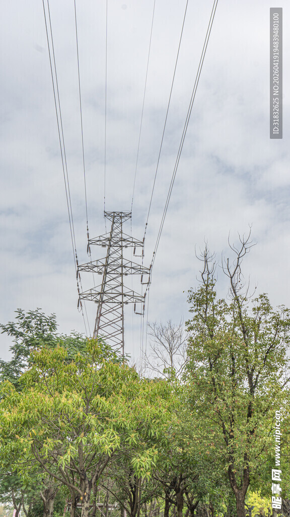 高压输电塔与葱郁树林