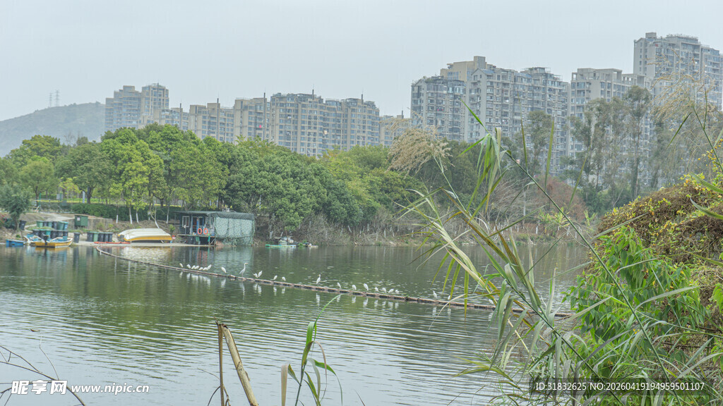 湖畔城市风光