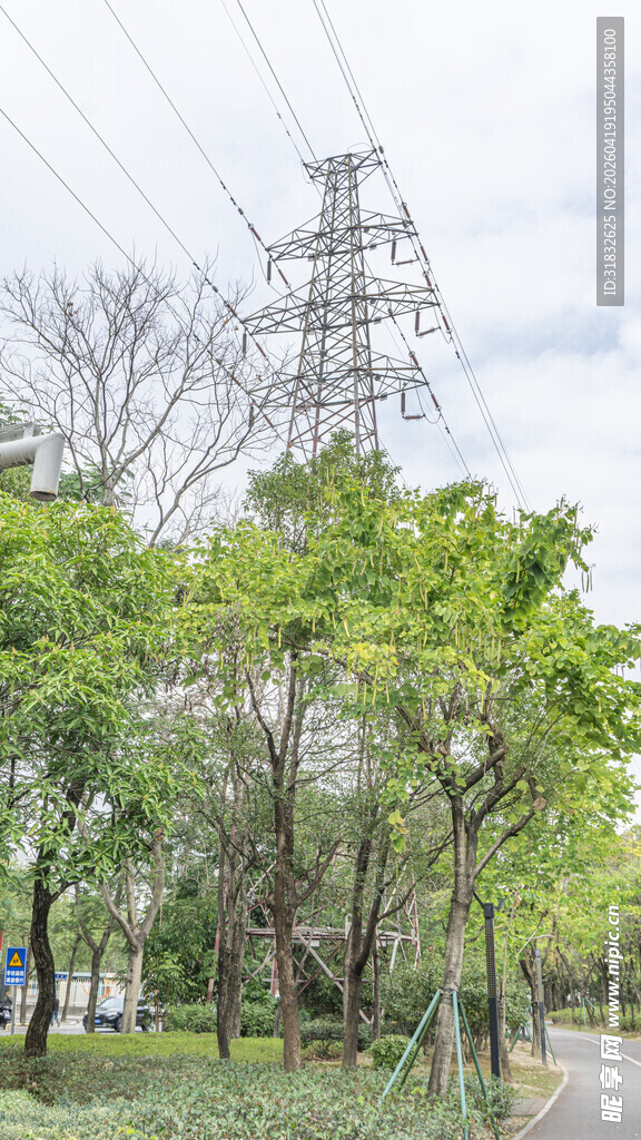 郊外电线塔与葱郁树木