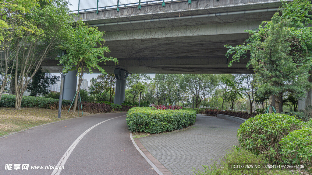 城市绿荫下的道路与高架桥