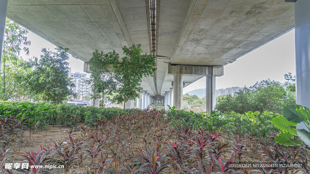 桥下绿植景观