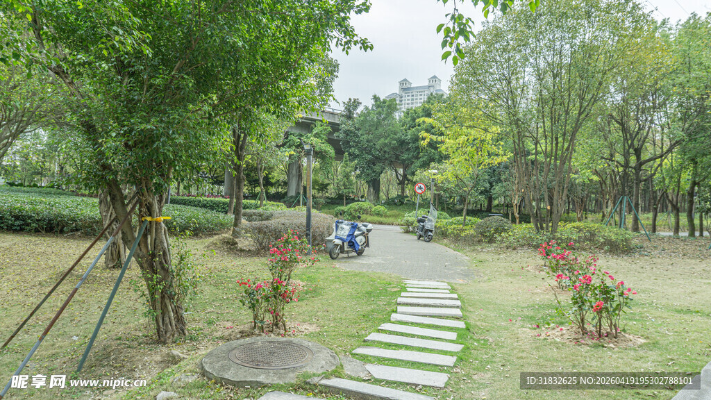 林间石板小径 绿意盎然