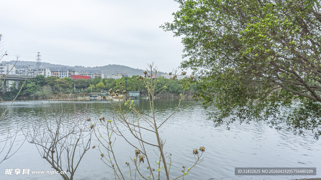 湖畔景致 绿意点缀水域