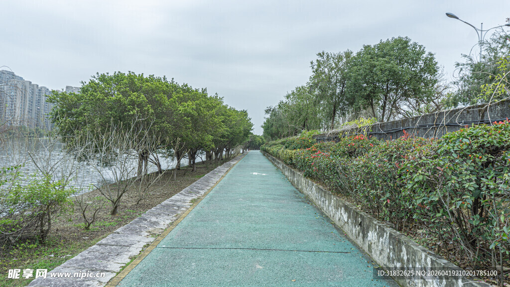 城市中幽静的绿色步道