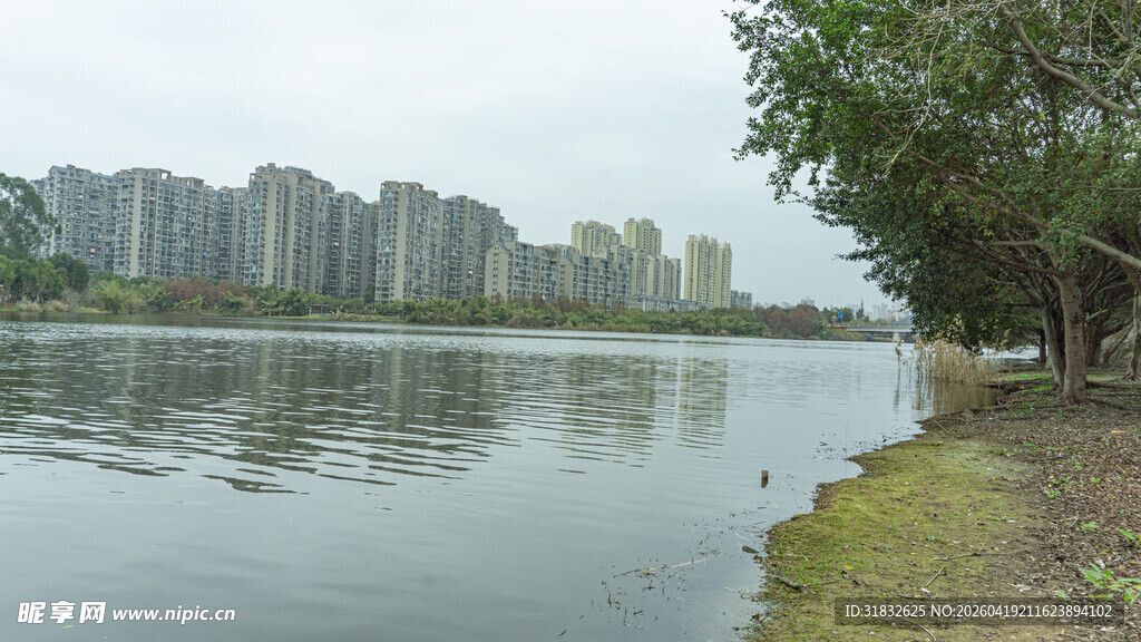湖畔城市风光 宁静水岸