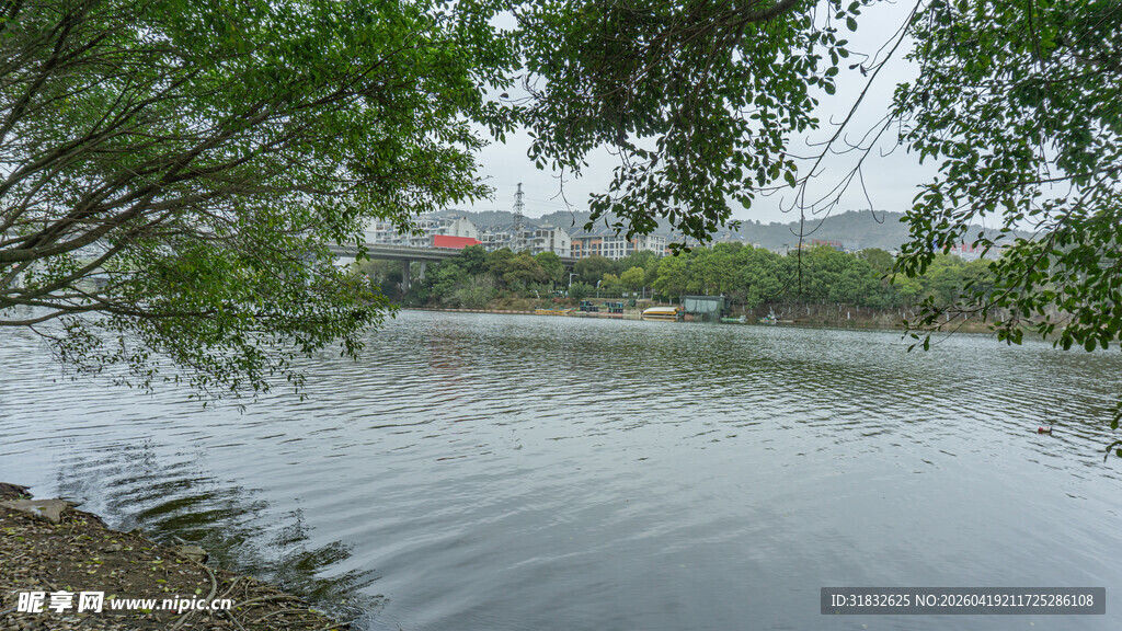 湖畔绿树环绕的宁静水域