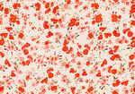 红色斑点纹理图案
