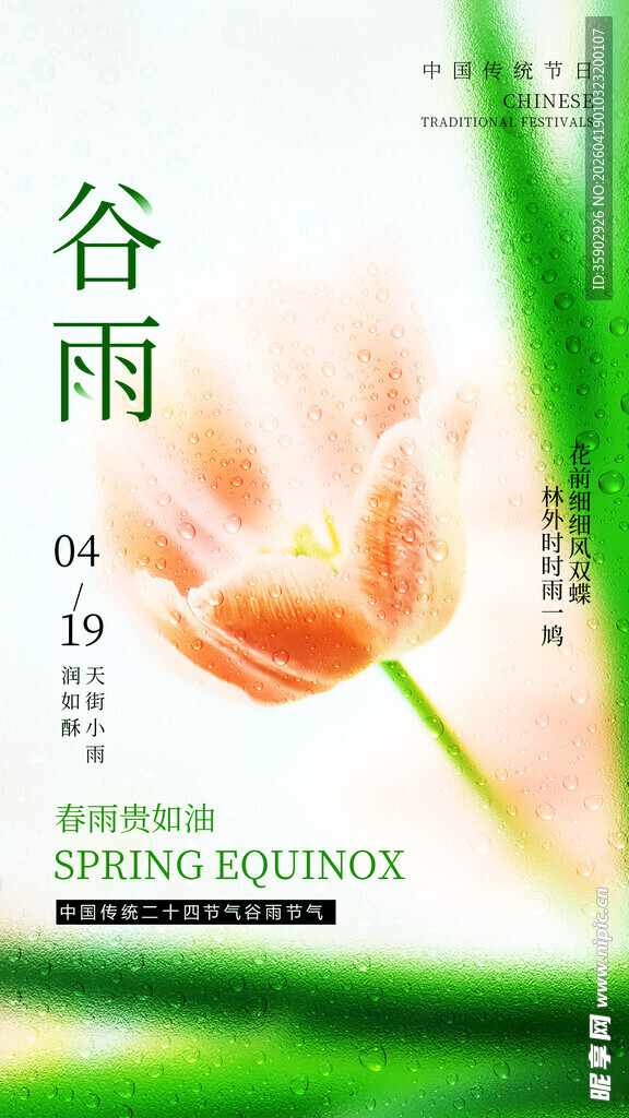 谷雨时节绽放的娇艳花朵