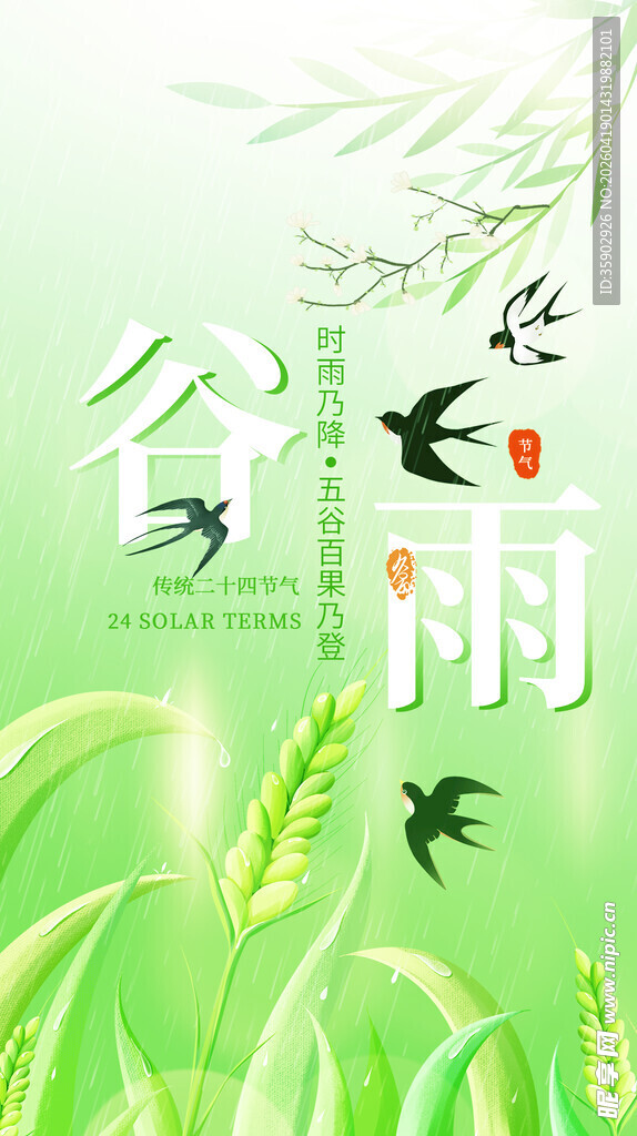 谷雨时节飞鸟与青苗