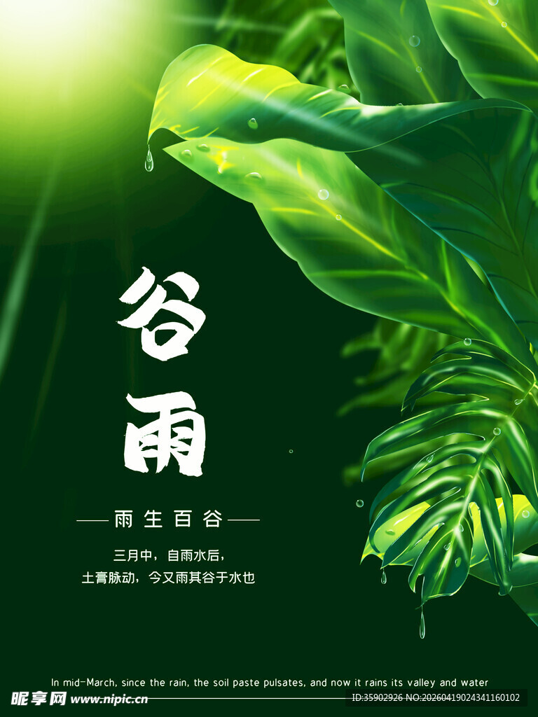 谷雨时节绿意盎然的自然