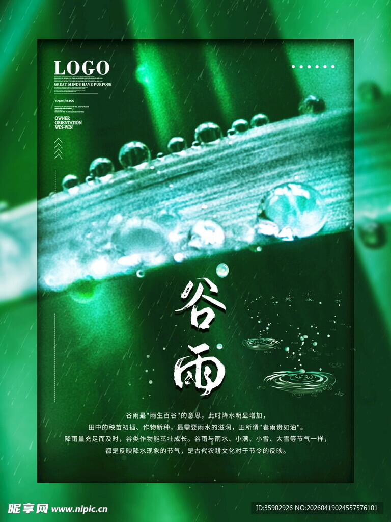 谷雨时节清新水滴海报